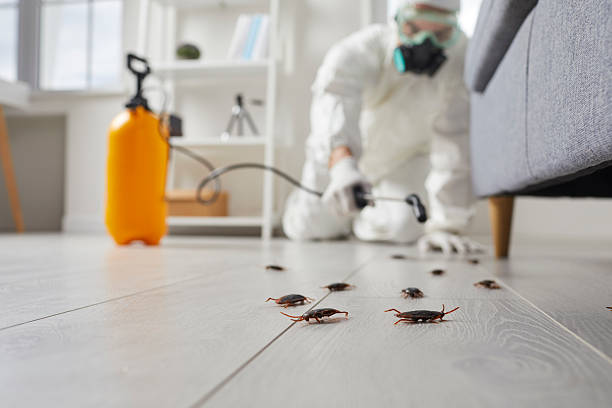 Trusted Rodent Control service in Watertown, WI - Nex Pest Control