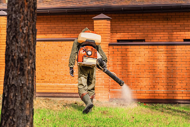 Trusted Mosquito Control service in Watertown, WI - Nex Pest Control